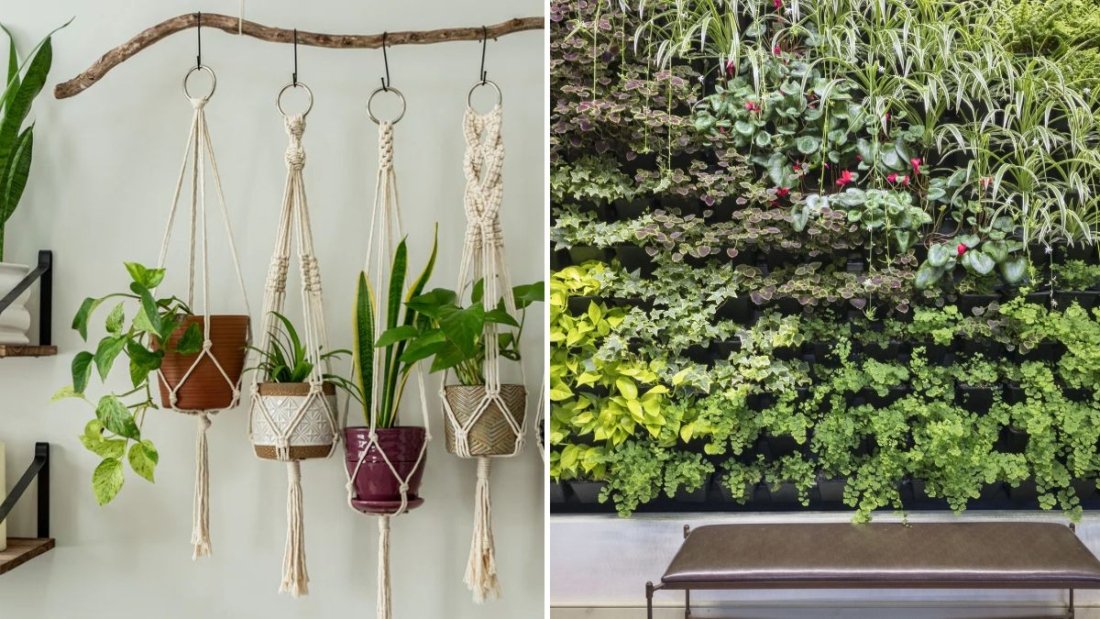 5 Creative Ways to Build a Garden Wall in Small Spaces (No Yard Needed!)