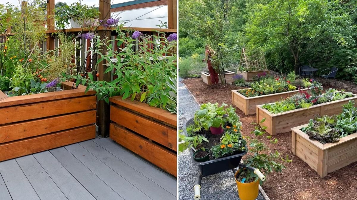 How to Build Raised Beds on a Balcony: A Complete Step-by-Step Guide for Urban Gardeners