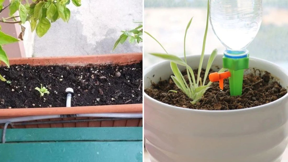 How to Build a Drip Irrigation System for Balconies