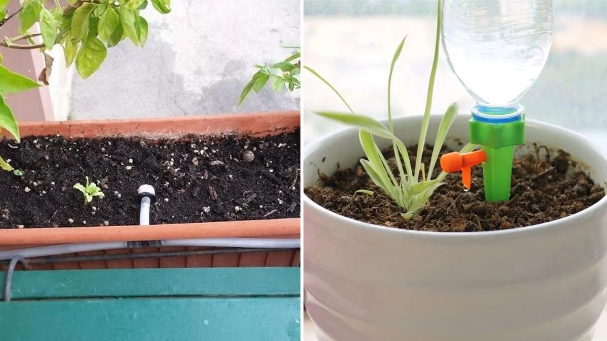 How to Build a Drip Irrigation System for Balconies