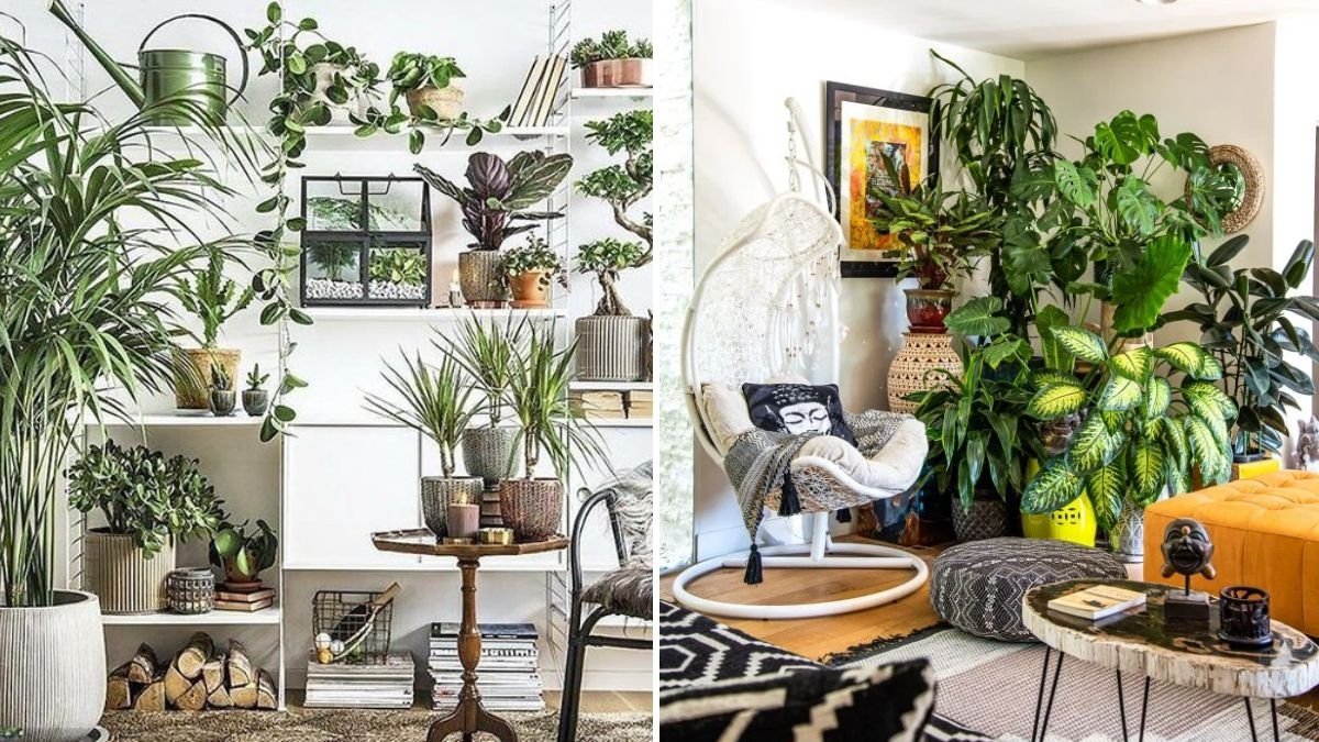 How to Match Plants with Home Décor Styles: A Stylish Guide for Every Home