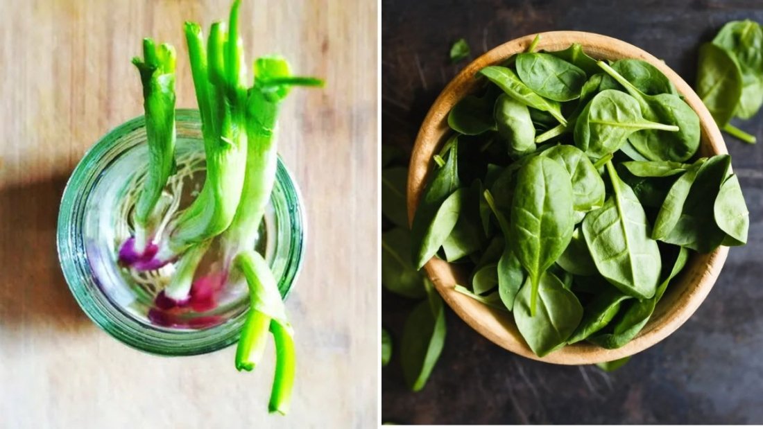 7 Fast-Growing Vegetables for Small Urban Spaces