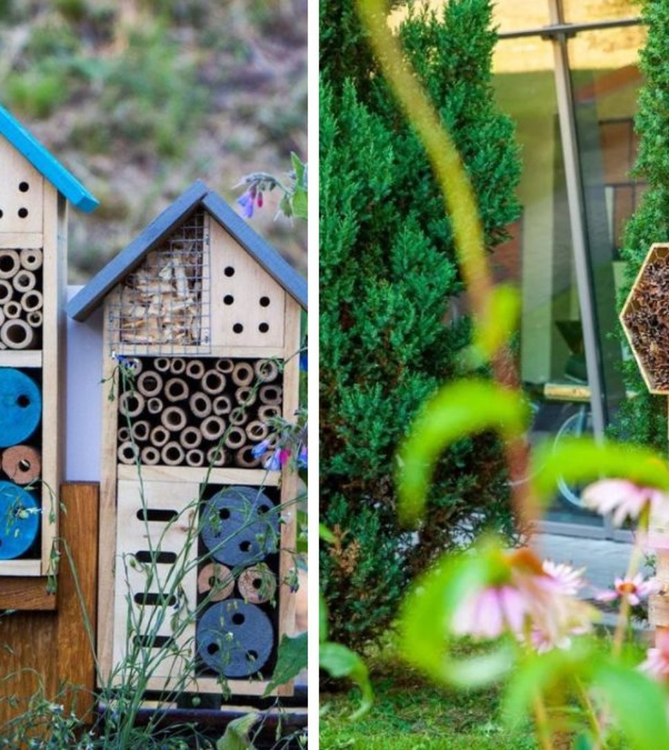 How to Build a DIY Insect Hotel to Attract Beneficial Bugs (A Complete Guide for a Healthier Garden)