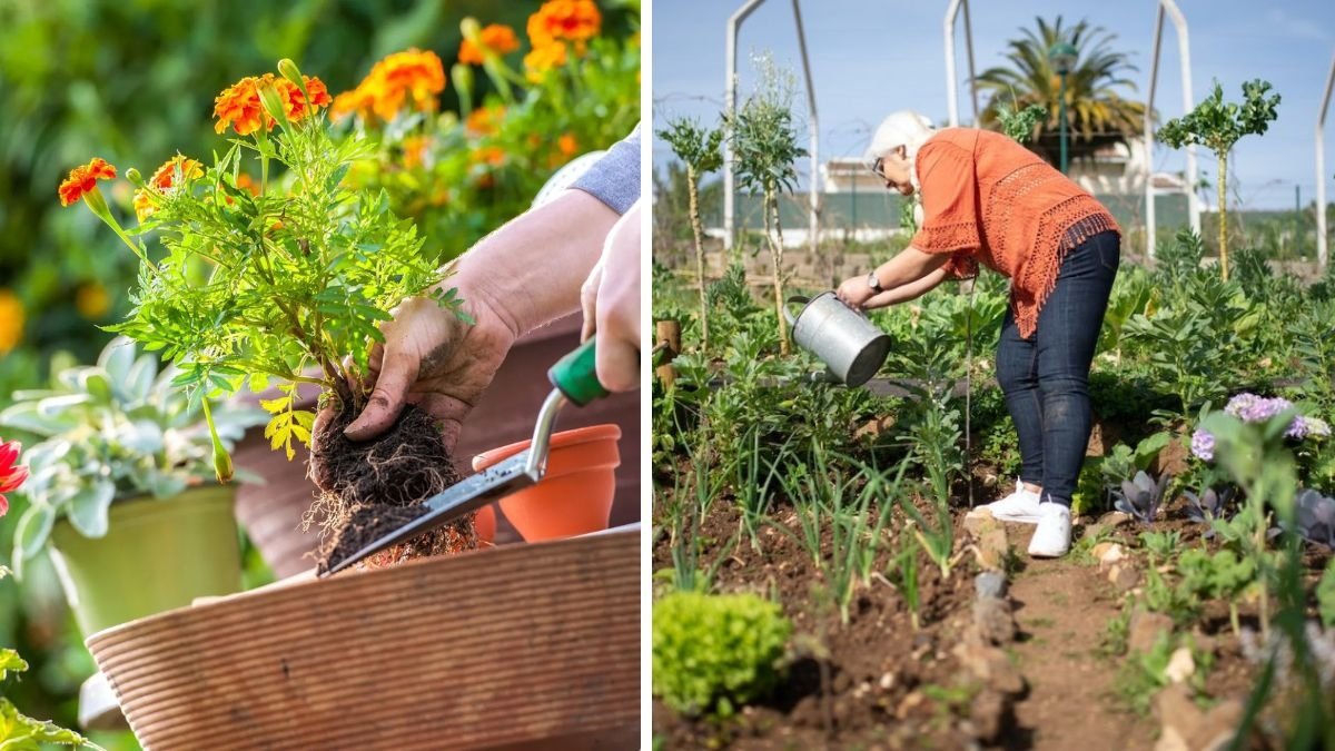 The Ultimate Guide to Pest-Free Gardening Without Chemicals