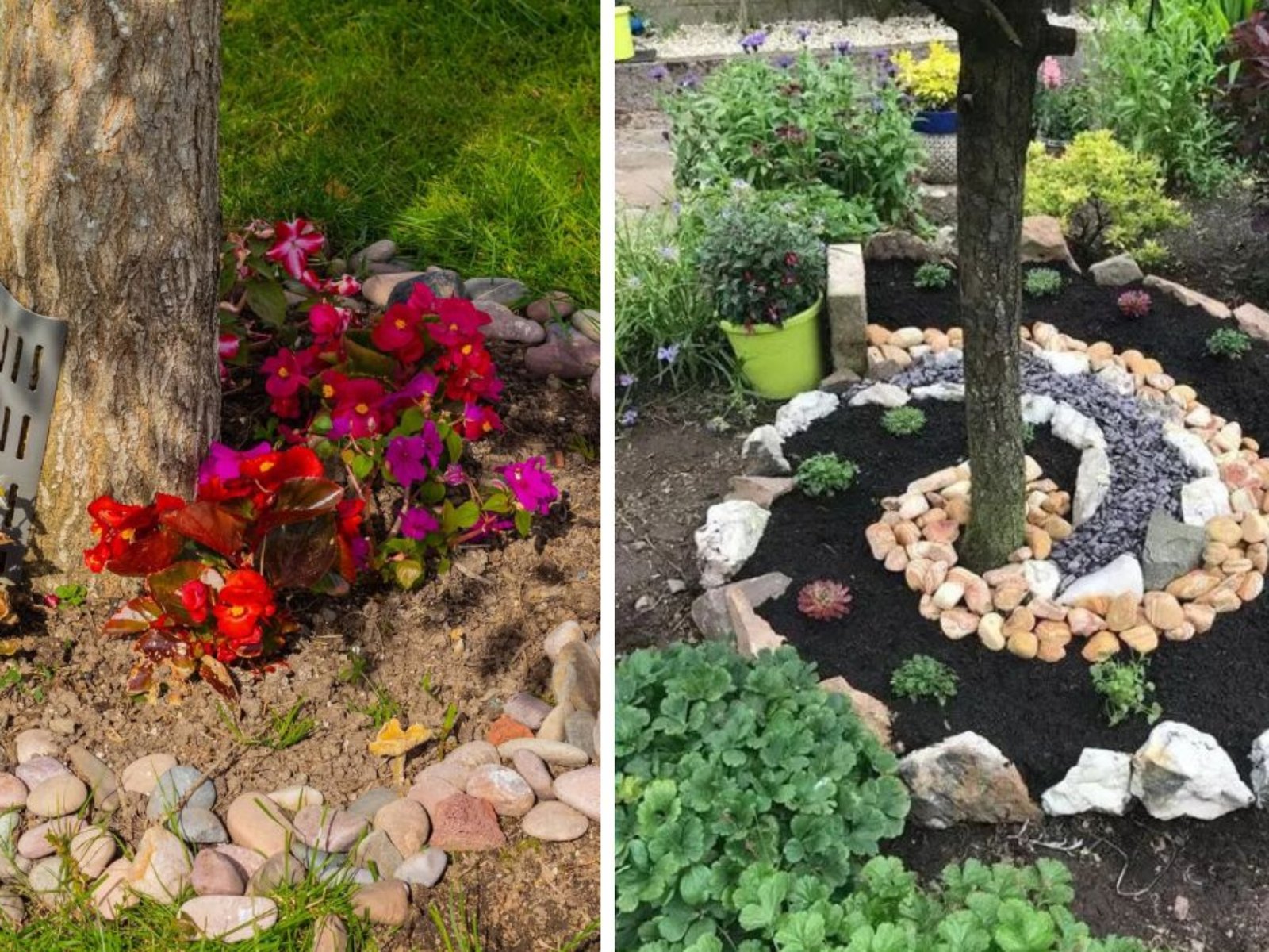 20 Unique Around-Tree Flower Bed Ideas to Upgrade Your Garden Design